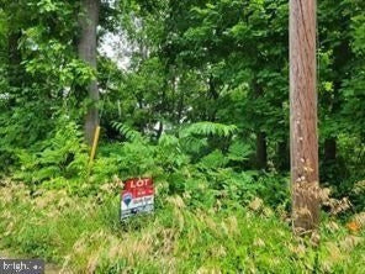 Picture of Residential Land For Sale in Cascade, Maryland, United States