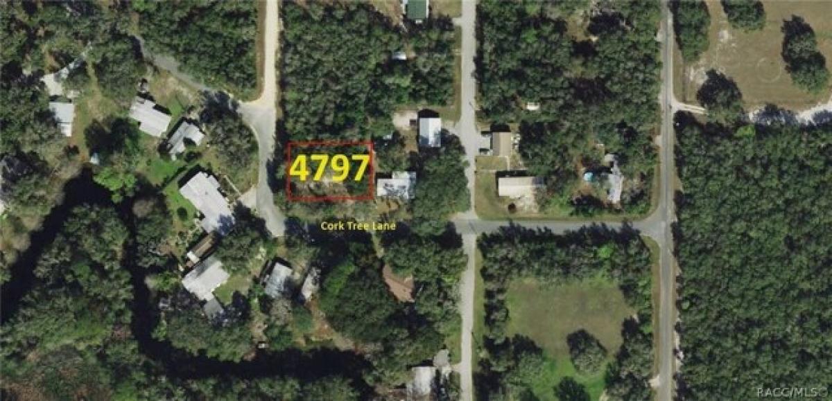 Picture of Residential Land For Sale in Hernando, Florida, United States