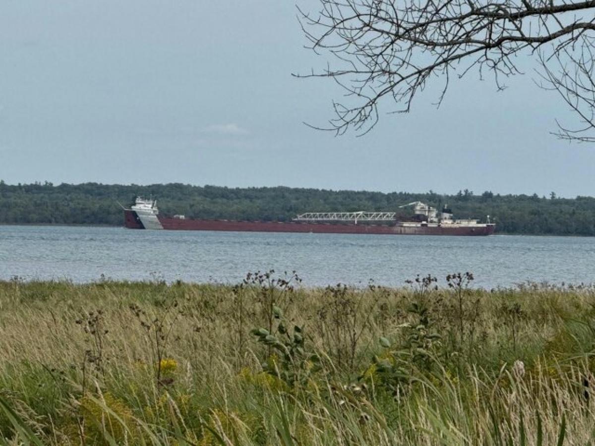 Picture of Residential Land For Sale in Sault Sainte Marie, Michigan, United States