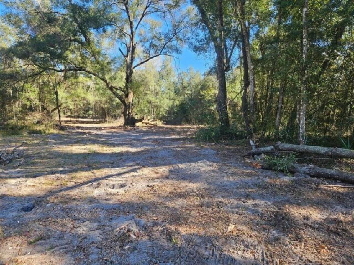 Picture of Residential Land For Sale in Citra, Florida, United States