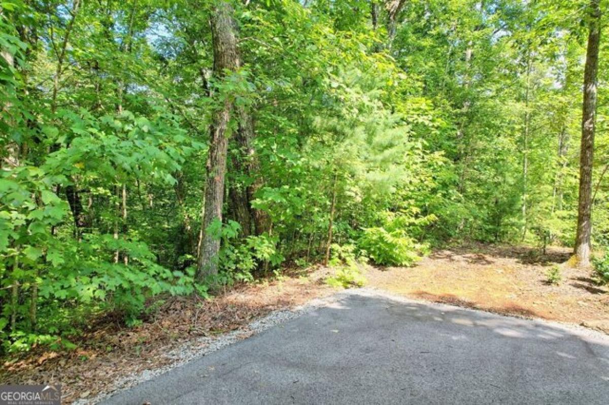 Picture of Residential Land For Sale in Clayton, Georgia, United States