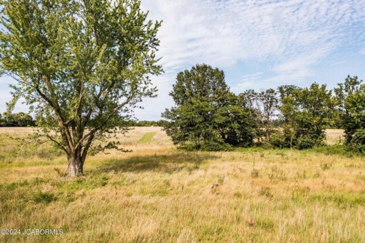 Picture of Residential Land For Sale in Fulton, Missouri, United States