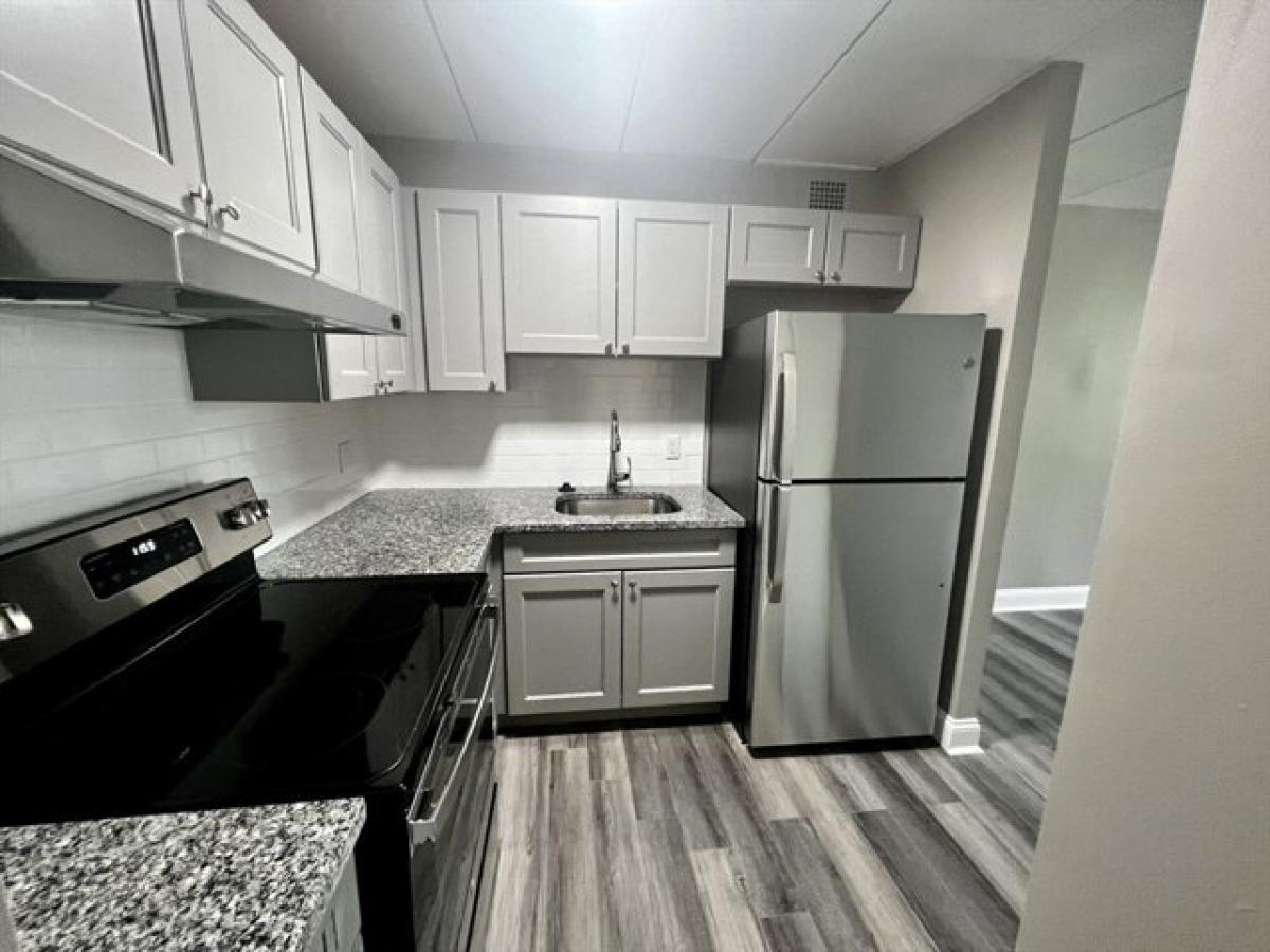 Picture of Apartment For Rent in Boston, Massachusetts, United States