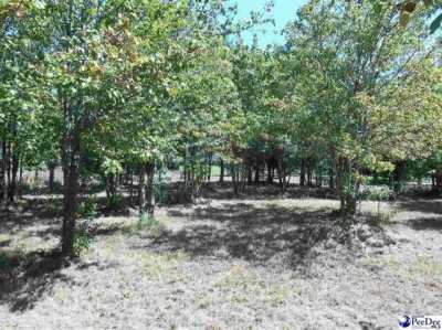 Residential Land For Sale in 