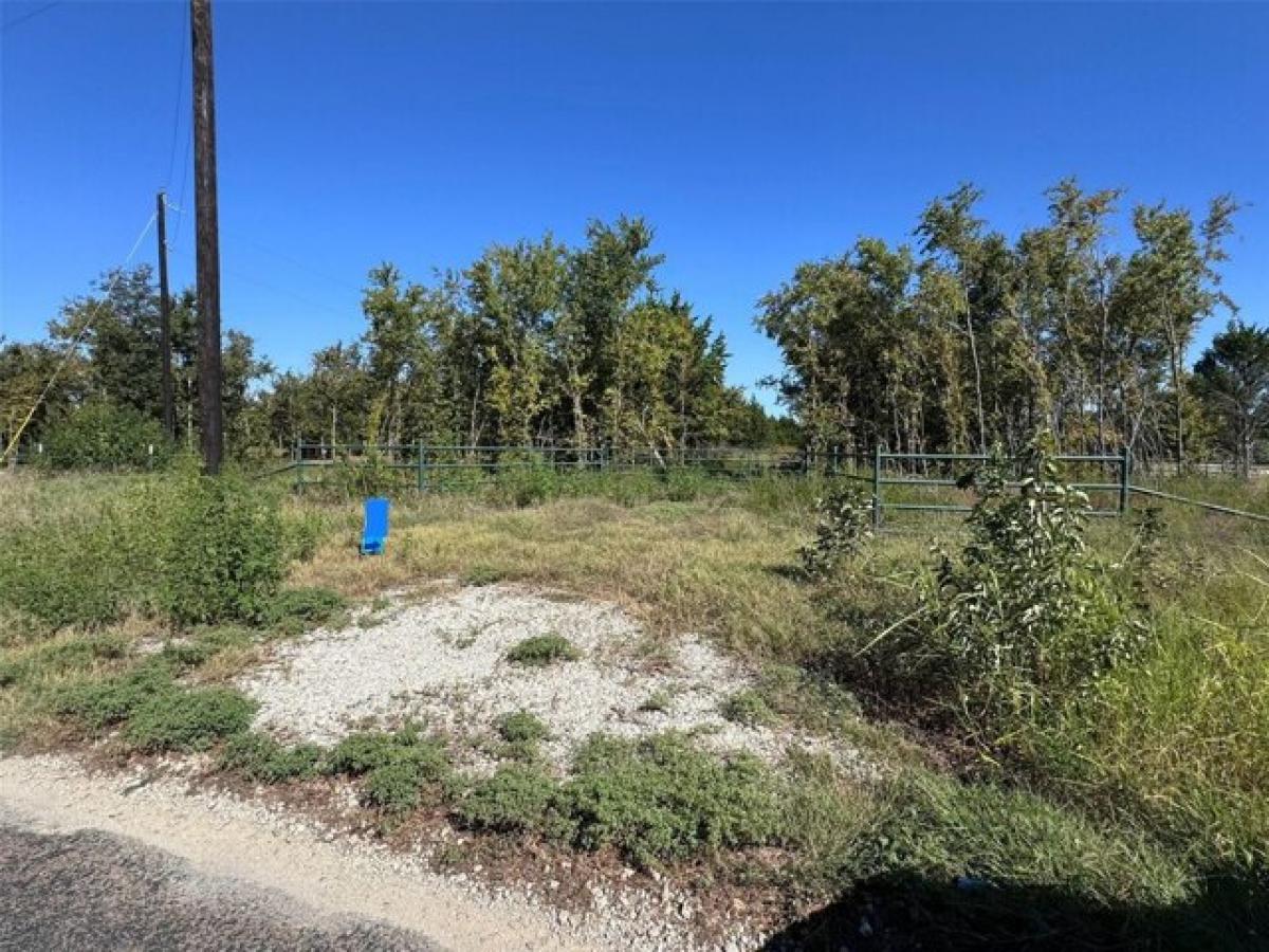 Picture of Residential Land For Sale in Gordonville, Texas, United States