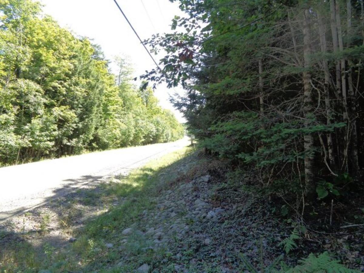 Picture of Residential Land For Sale in Orland, Maine, United States