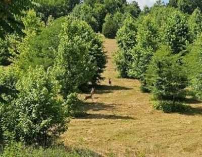 Residential Land For Sale in Rockwood, Tennessee