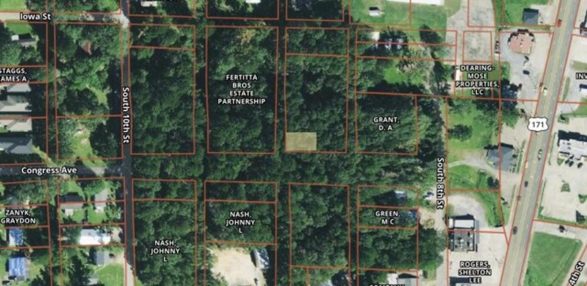 Picture of Residential Land For Sale in Leesville, Louisiana, United States