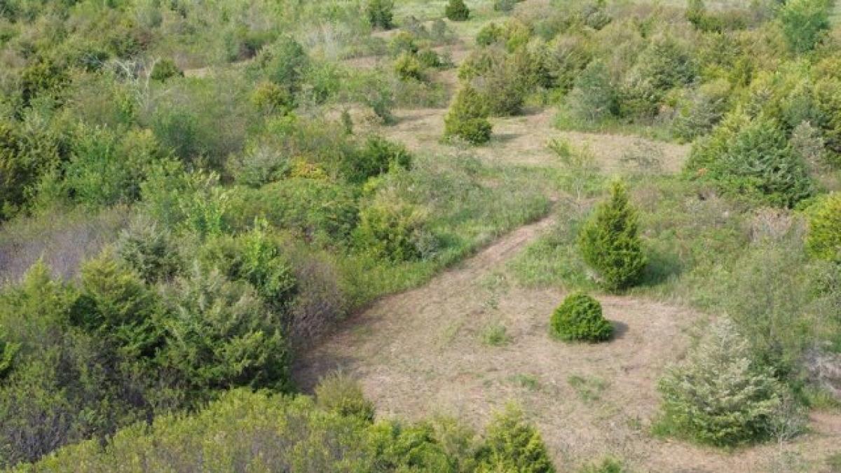 Picture of Residential Land For Sale in Granby, Missouri, United States