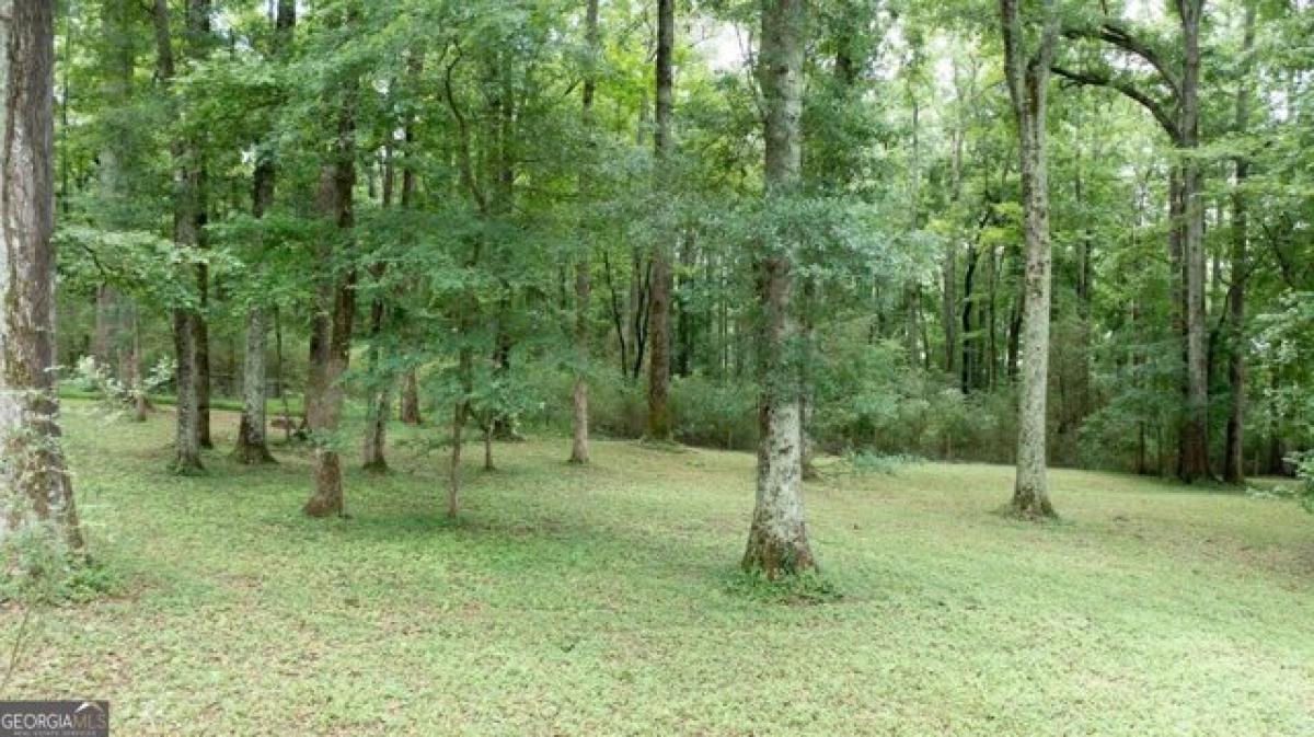 Picture of Residential Land For Sale in Newnan, Georgia, United States