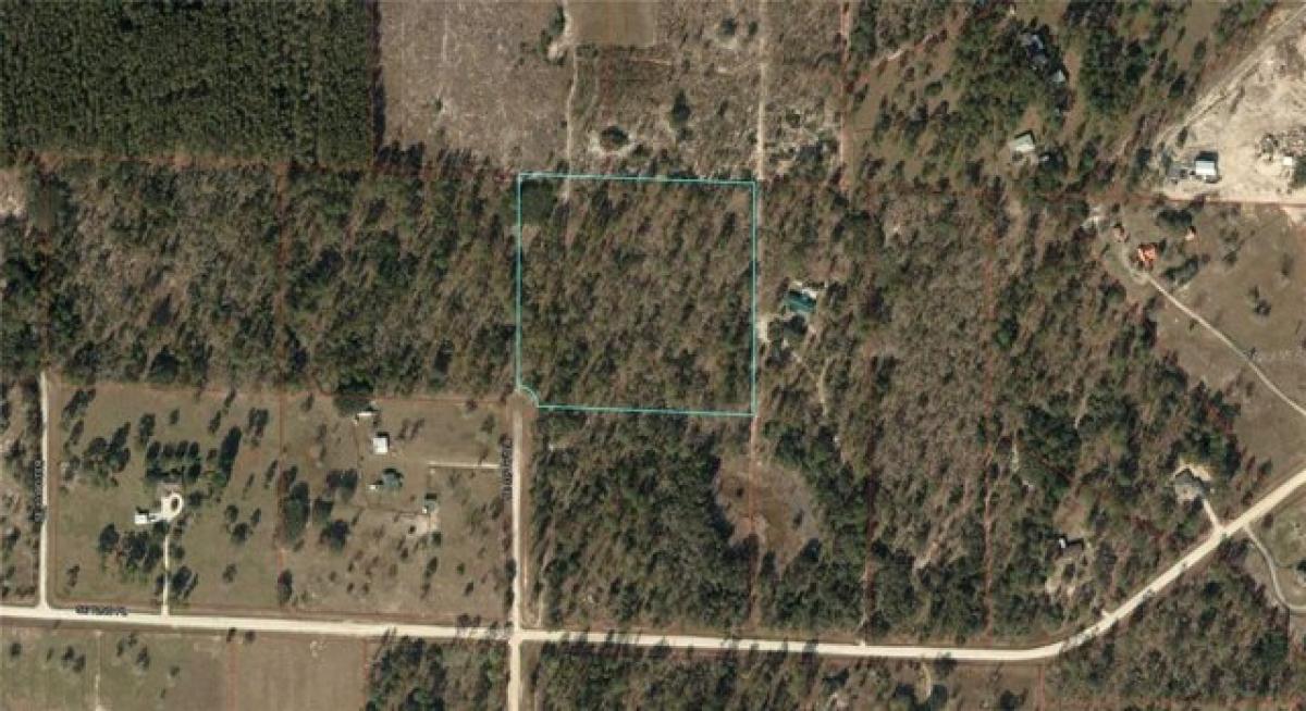 Picture of Residential Land For Sale in Morriston, Florida, United States