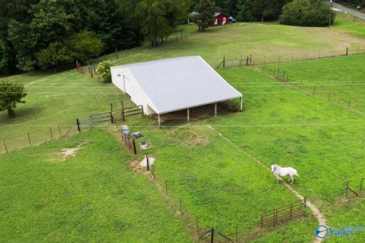 Picture of Residential Land For Sale in Crane Hill, Alabama, United States