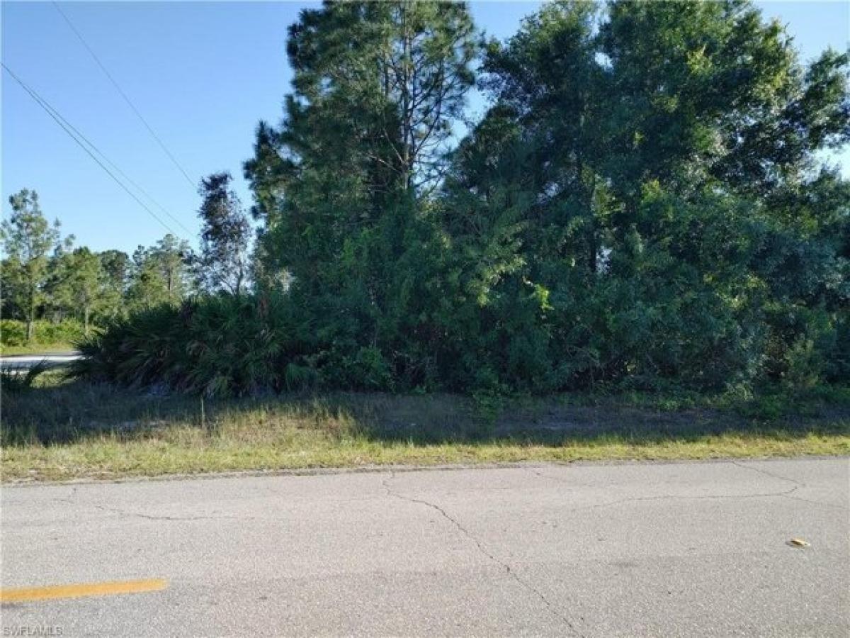 Picture of Residential Land For Sale in Lehigh Acres, Florida, United States