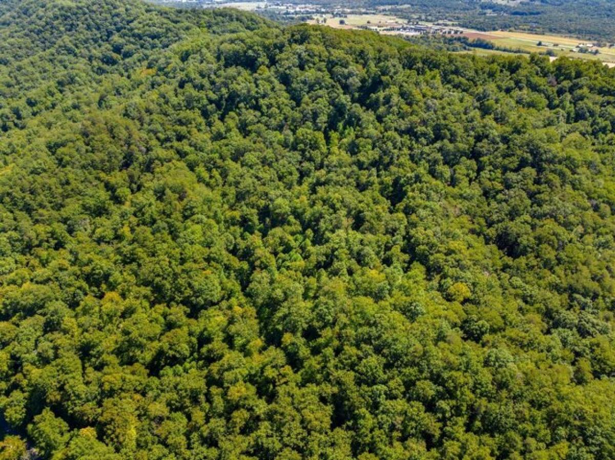 Picture of Residential Land For Sale in Rutledge, Tennessee, United States