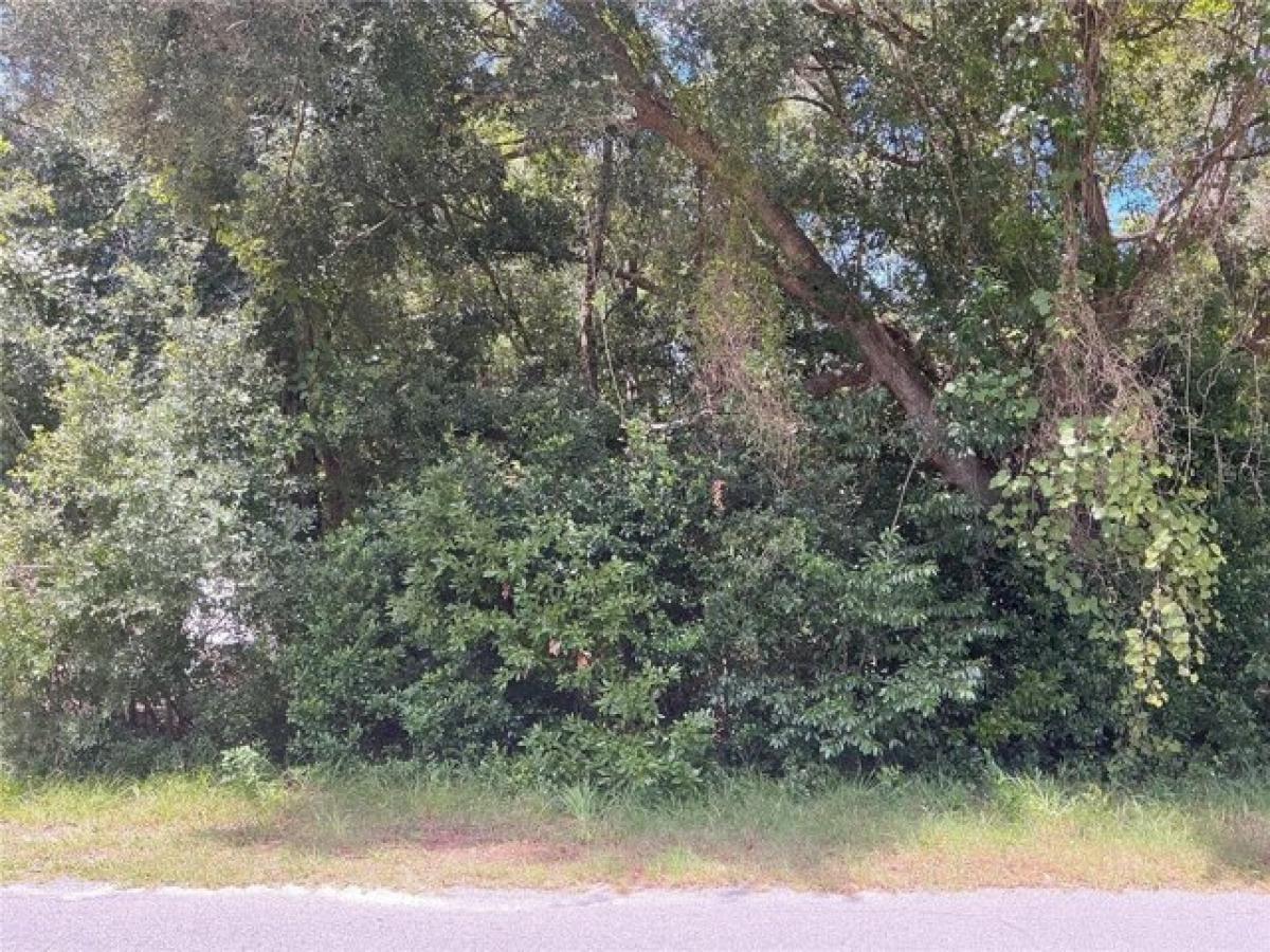 Picture of Residential Land For Sale in Inverness, Florida, United States