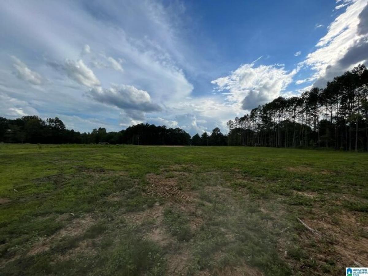 Picture of Residential Land For Sale in Ashville, Alabama, United States