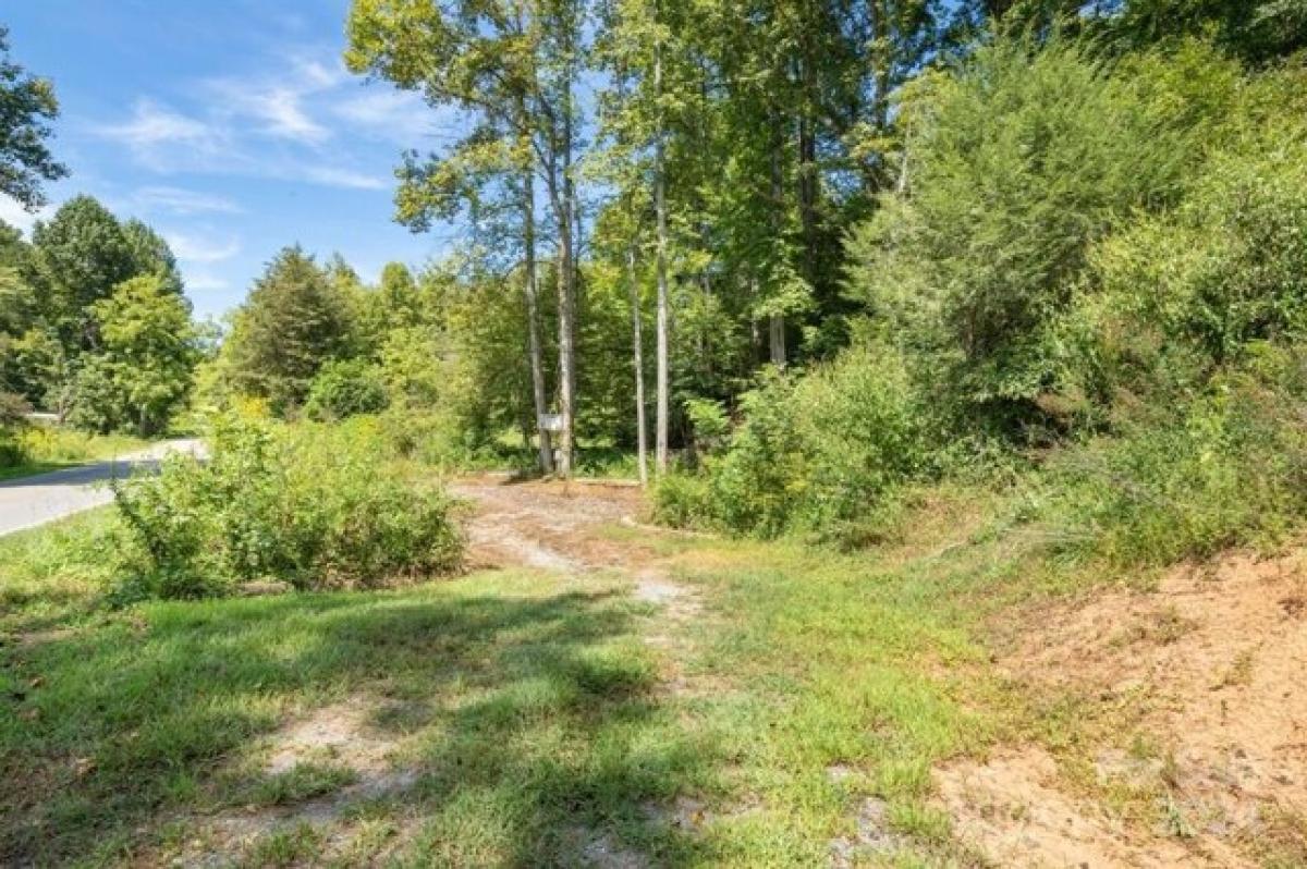 Picture of Residential Land For Sale in Marion, North Carolina, United States