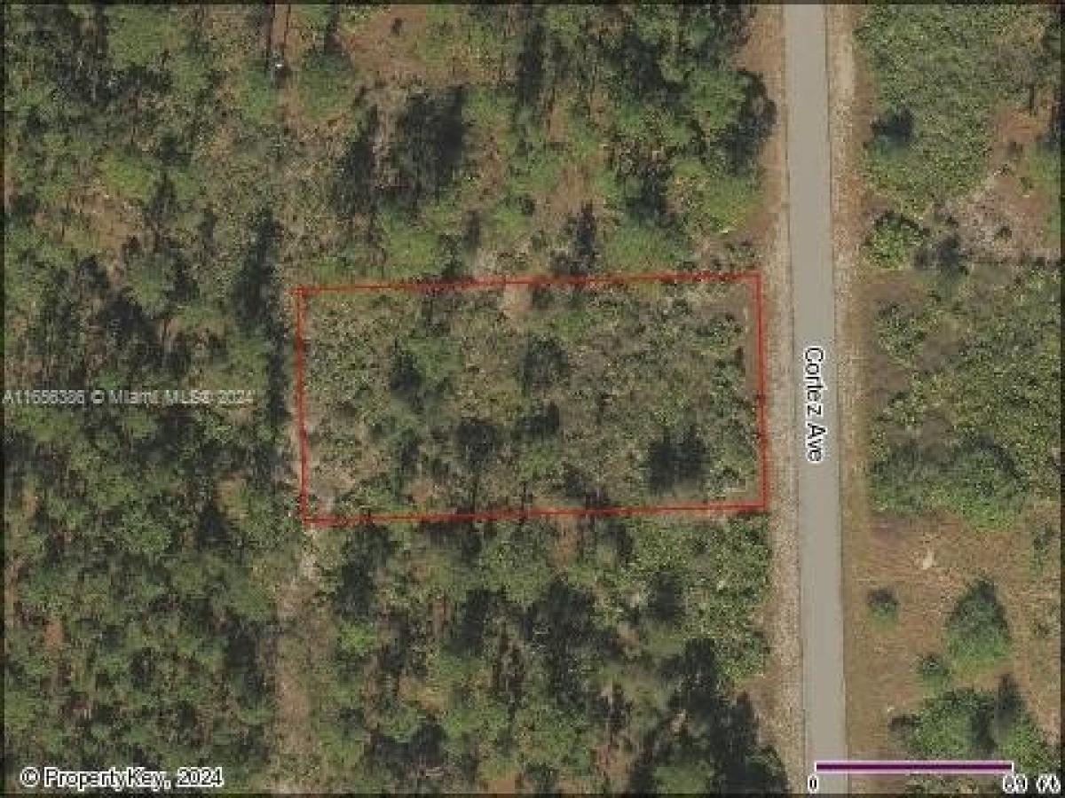 Picture of Residential Land For Sale in Lehigh Acres, Florida, United States