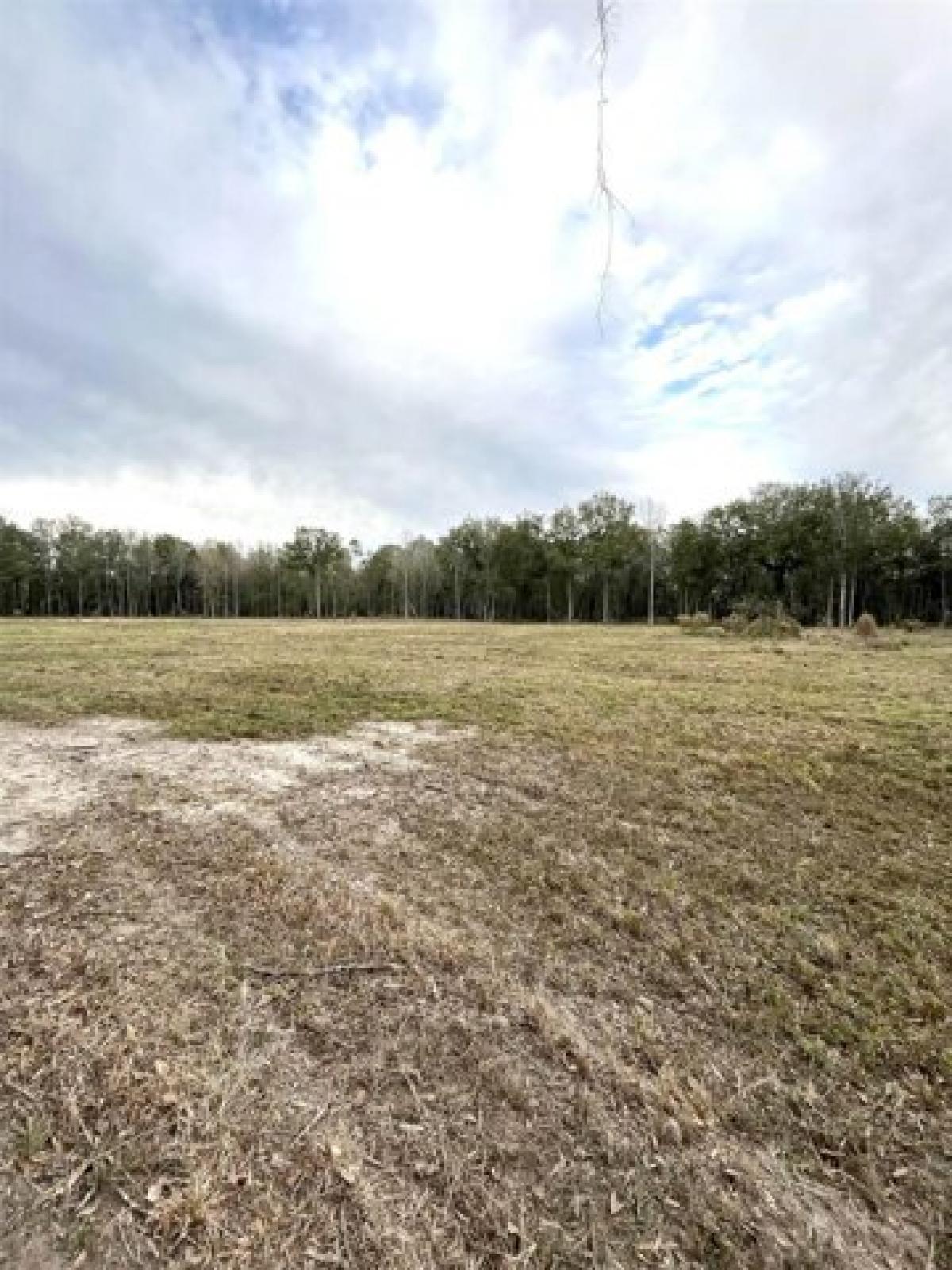 Picture of Residential Land For Sale in Orange, Texas, United States