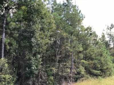 Residential Land For Sale in Waynesboro, Mississippi