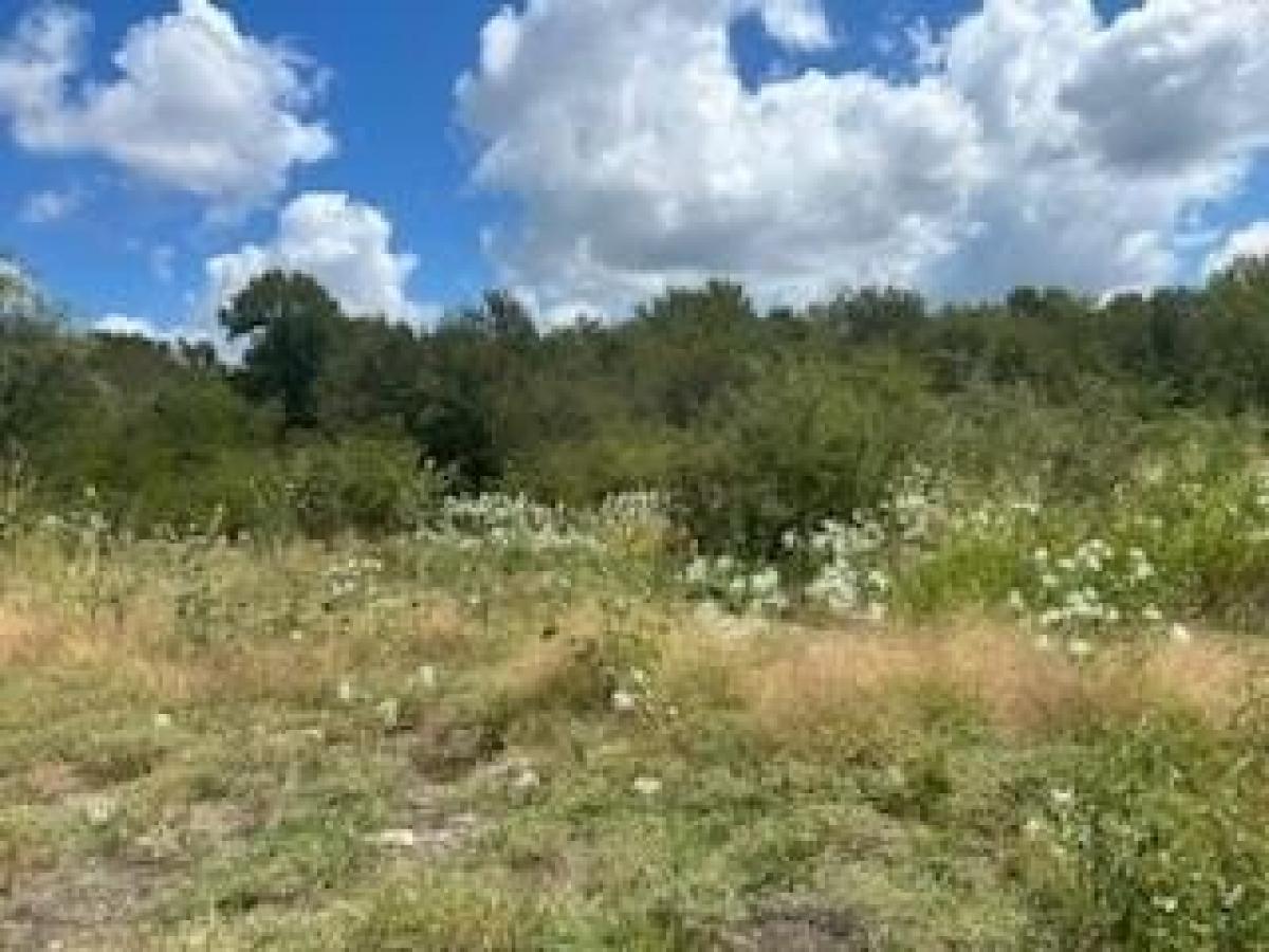 Picture of Residential Land For Sale in Rice, Texas, United States