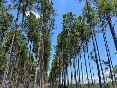 Residential Land For Sale in Columbia, Alabama