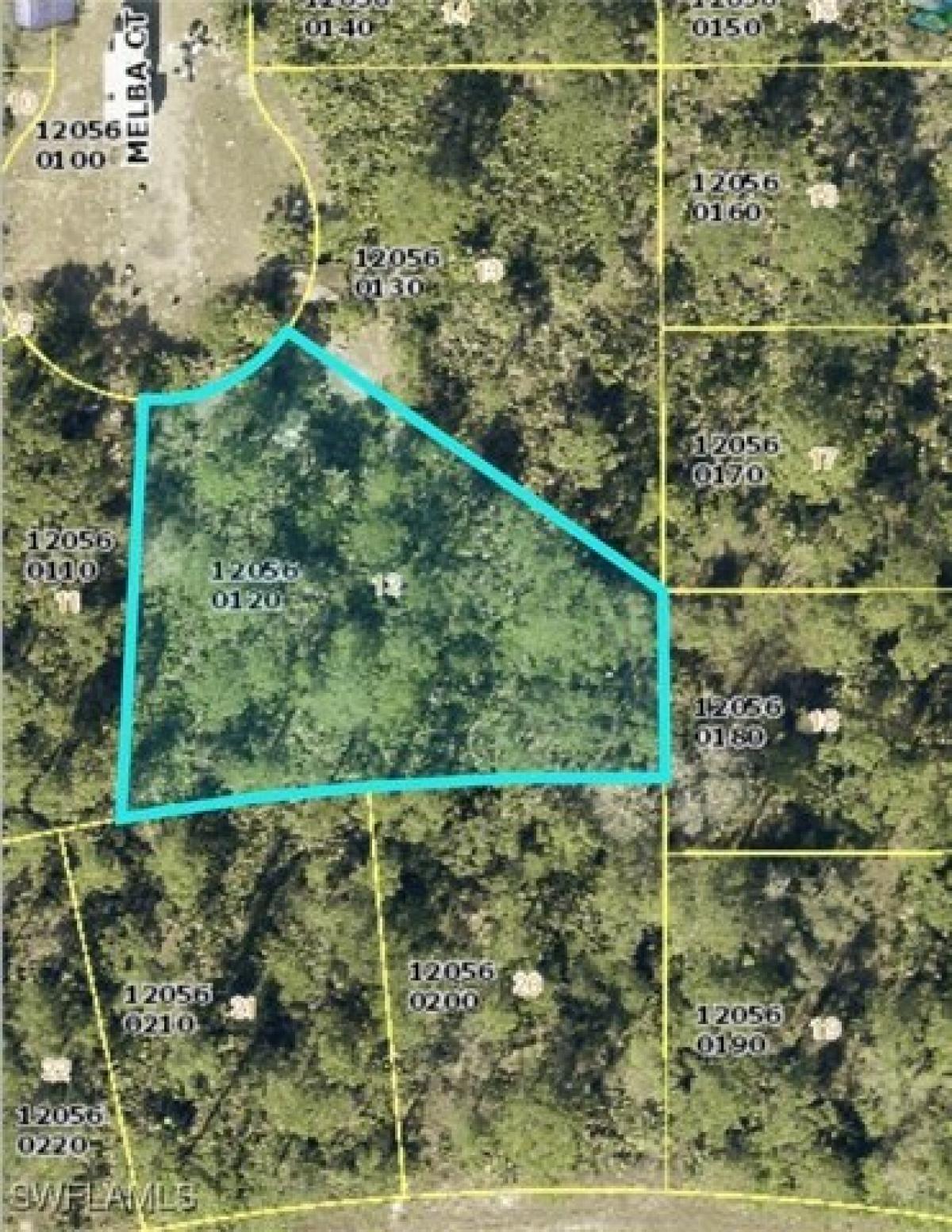 Picture of Residential Land For Sale in Lehigh Acres, Florida, United States