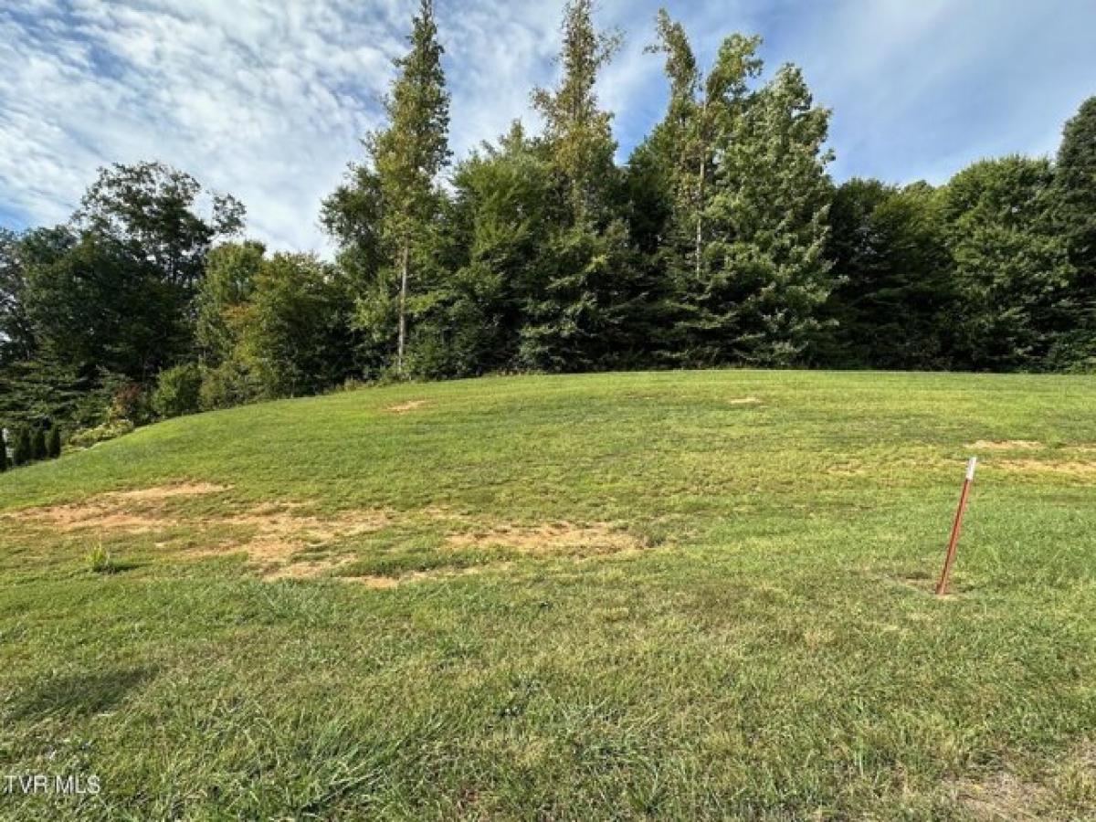 Picture of Residential Land For Sale in Jonesborough, Tennessee, United States