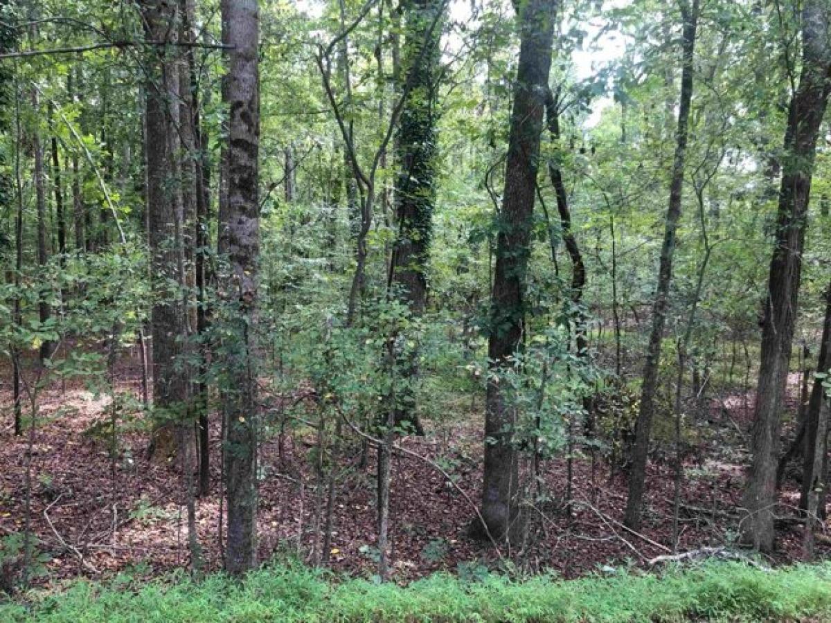 Picture of Residential Land For Sale in Durham, North Carolina, United States