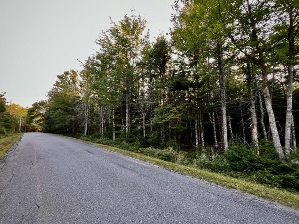 Picture of Residential Land For Sale in Machiasport, Maine, United States