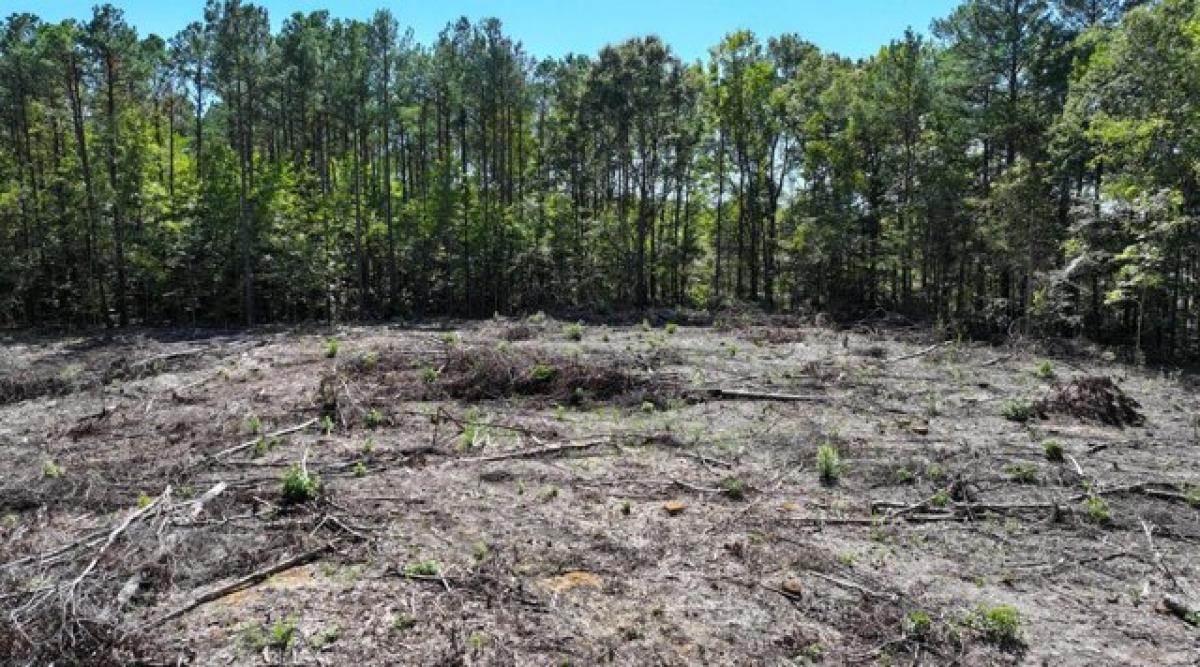 Picture of Residential Land For Sale in Caledonia, Mississippi, United States