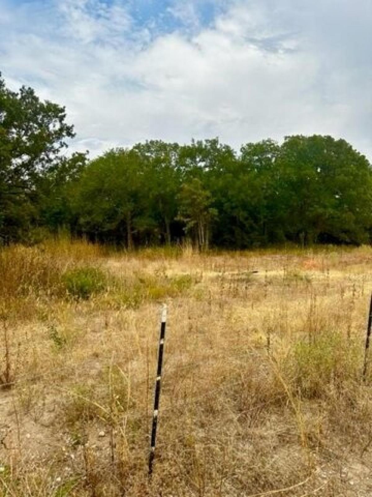 Picture of Residential Land For Sale in Bridgeport, Texas, United States