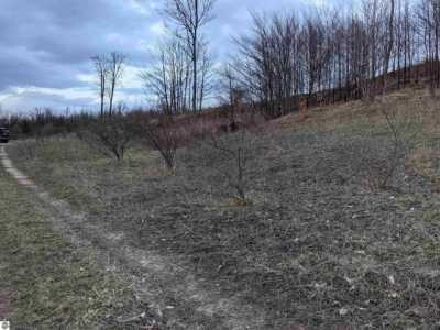 Residential Land For Sale in Grawn, Michigan