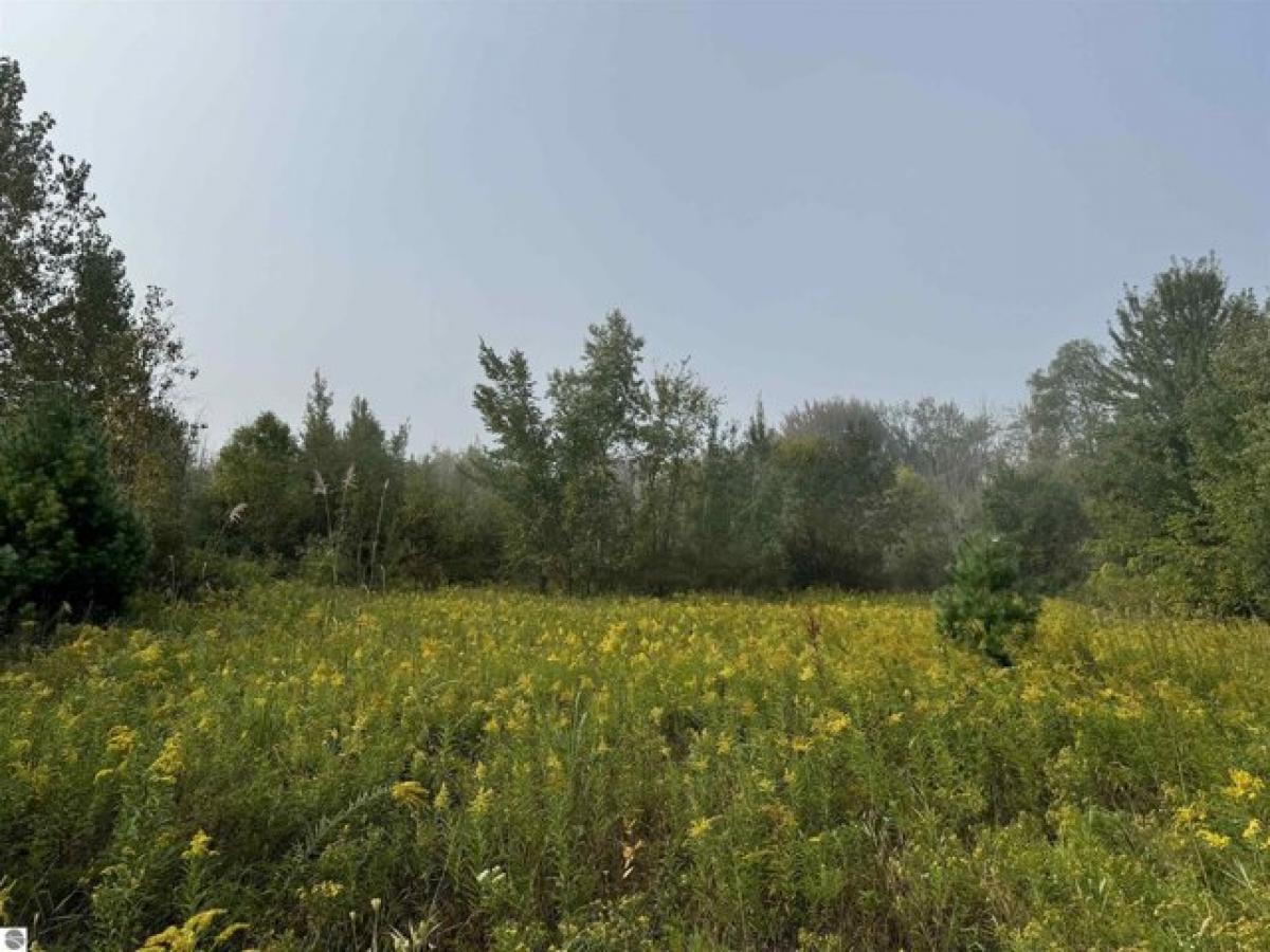 Picture of Residential Land For Sale in Shepherd, Michigan, United States