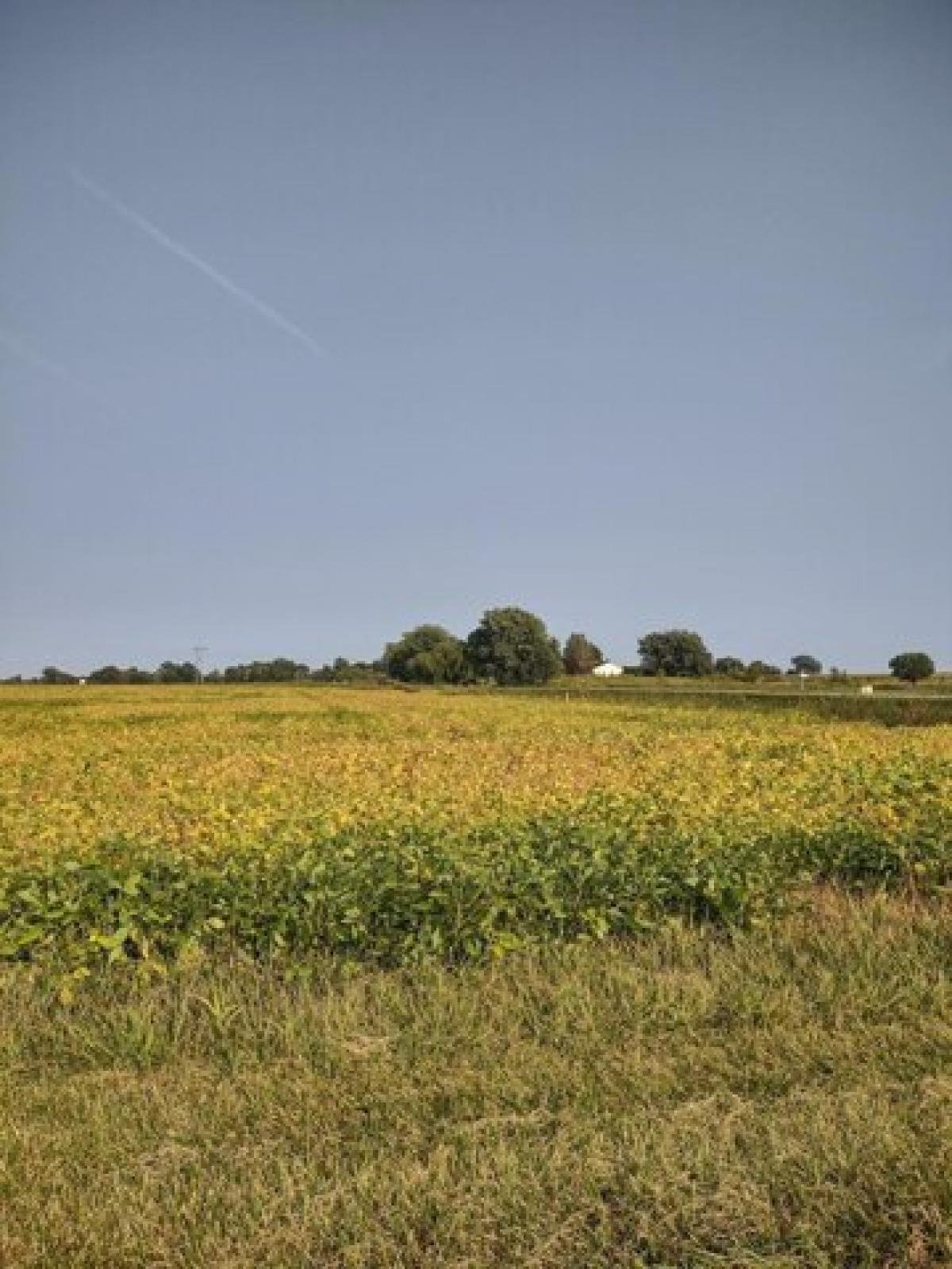 Picture of Residential Land For Sale in Holland, Michigan, United States