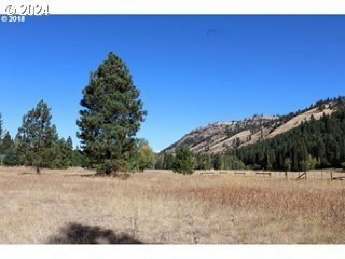 Picture of Residential Land For Sale in Lostine, Oregon, United States