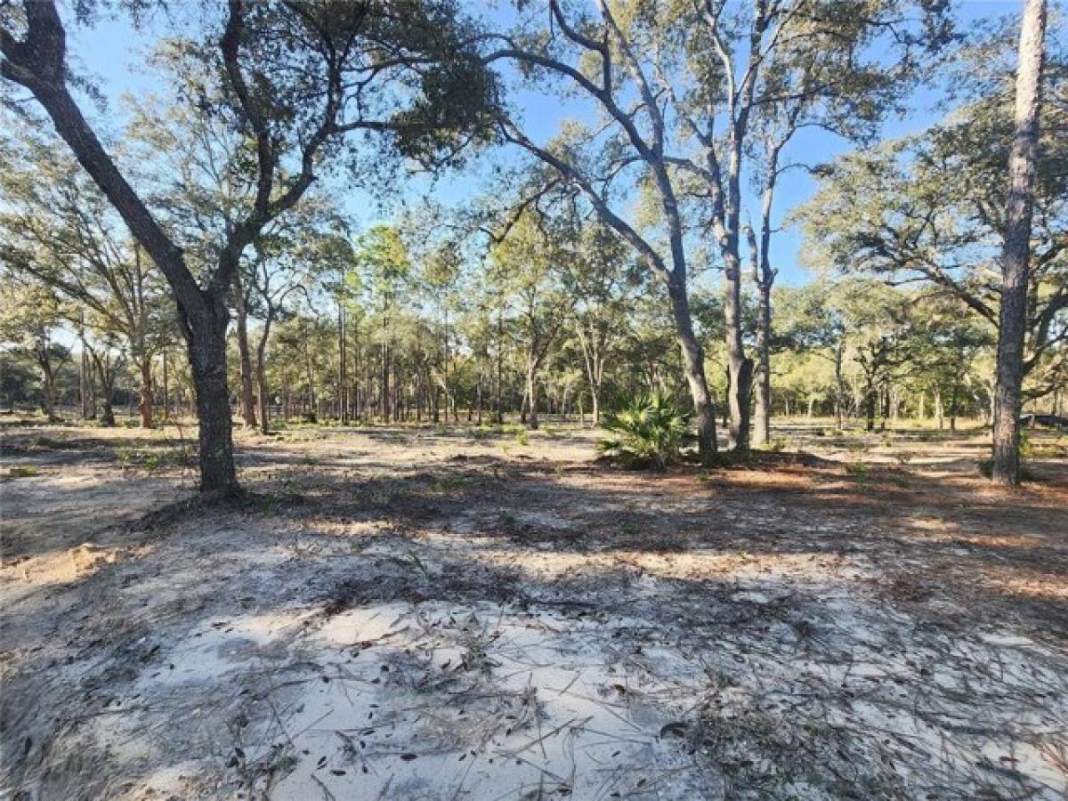 Picture of Residential Land For Sale in Bronson, Florida, United States