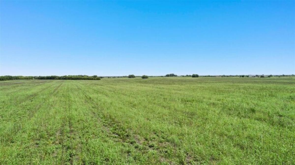 Picture of Residential Land For Sale in Greenville, Texas, United States