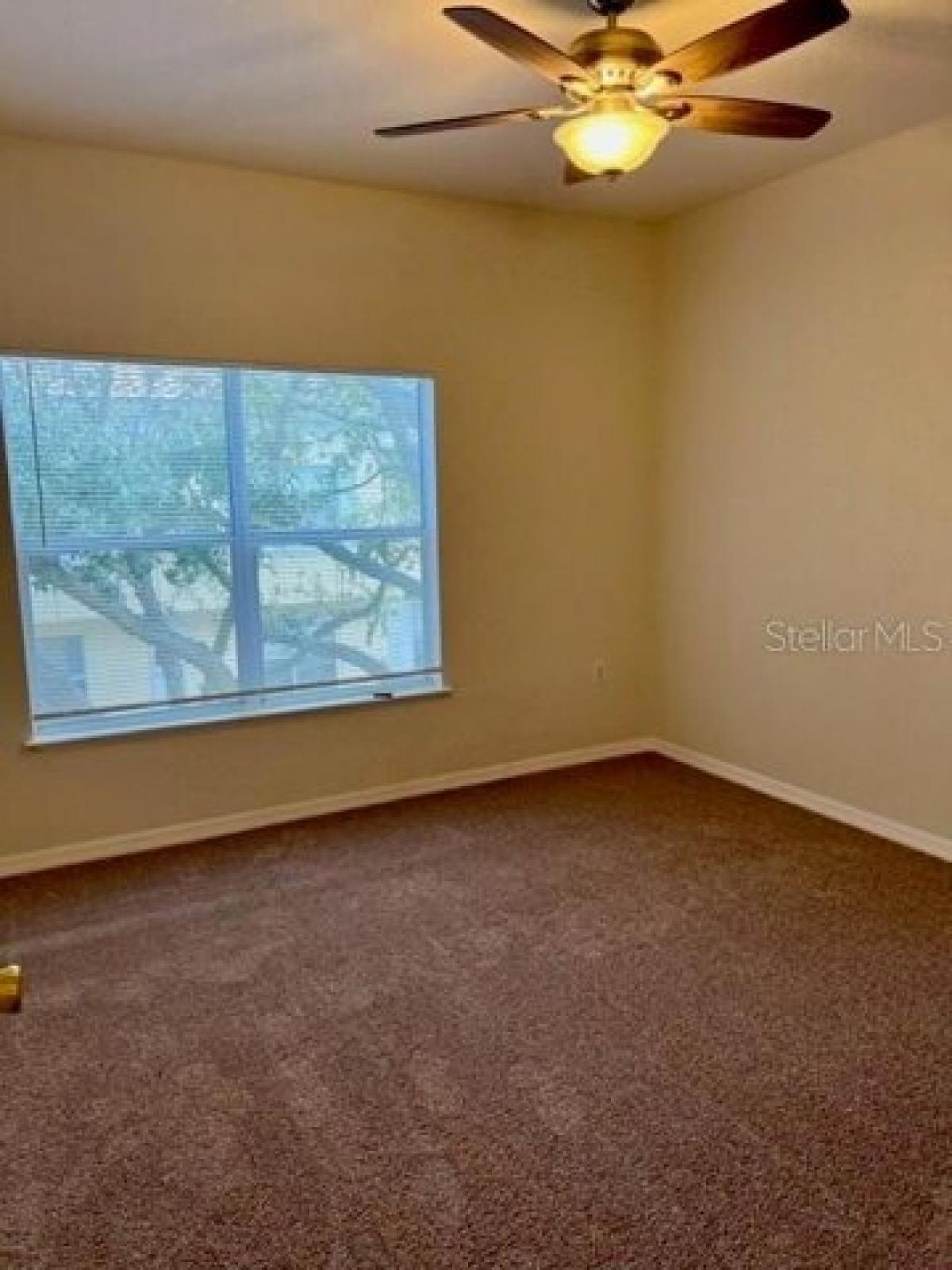 Picture of Home For Rent in Maitland, Florida, United States