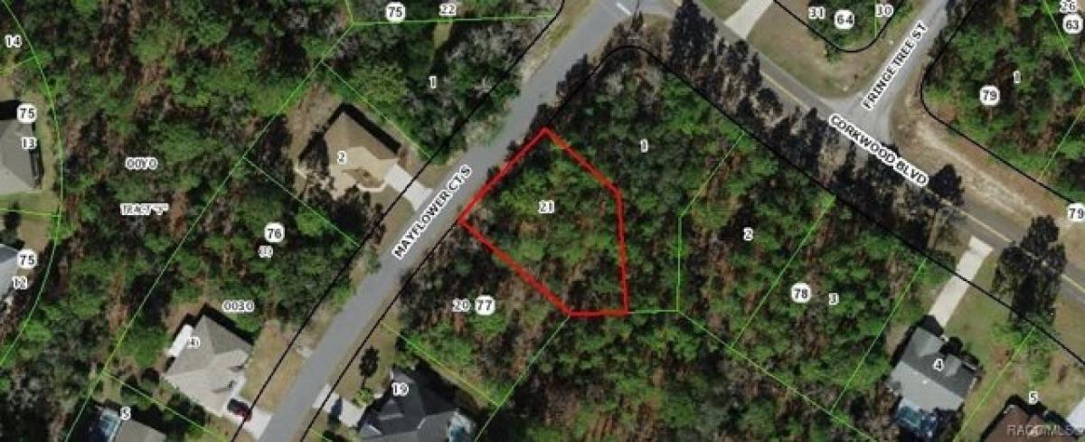 Picture of Residential Land For Sale in Homosassa, Florida, United States