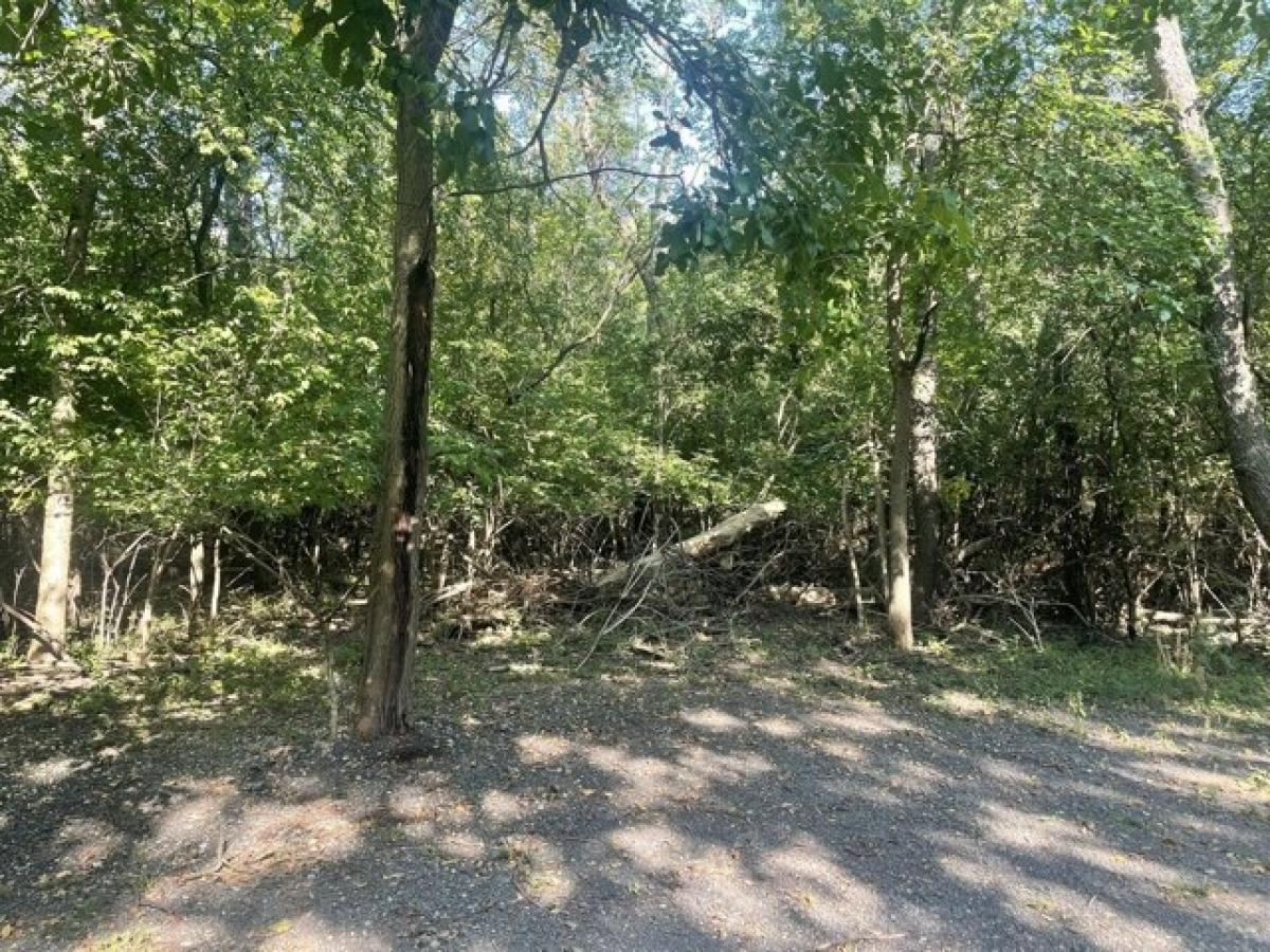 Picture of Residential Land For Sale in Algonquin, Illinois, United States