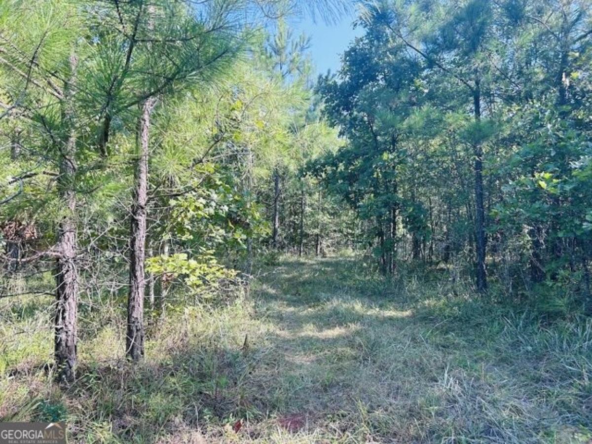 Picture of Residential Land For Sale in Leesburg, Alabama, United States