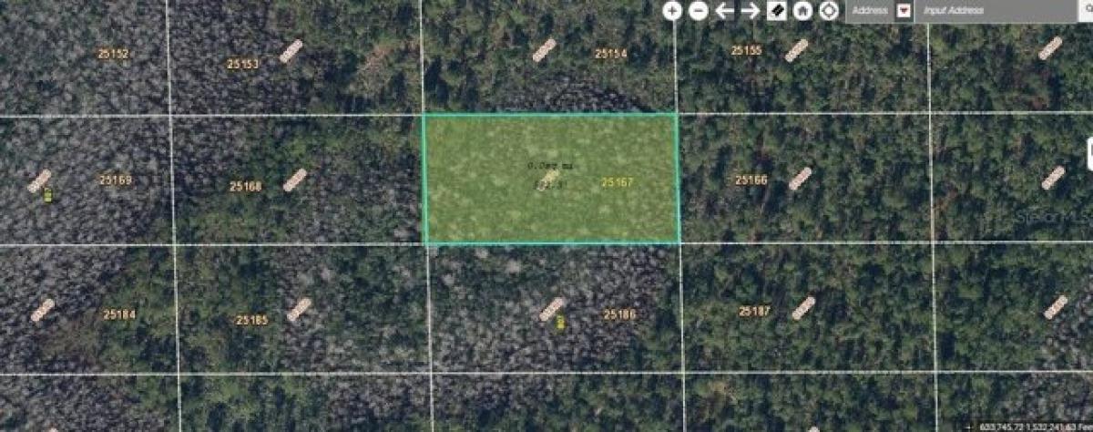 Picture of Residential Land For Sale in Orlando, Florida, United States