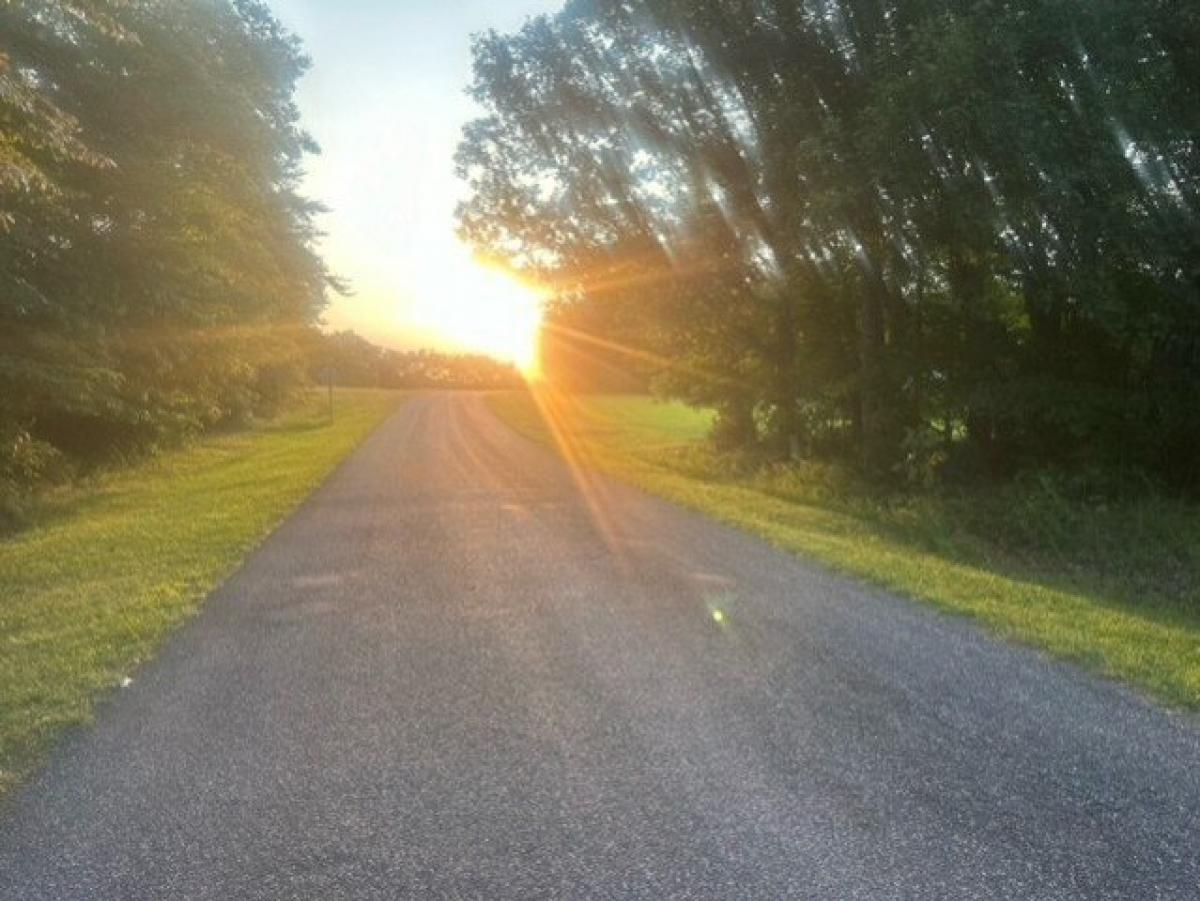 Picture of Residential Land For Sale in Sandy Ridge, North Carolina, United States