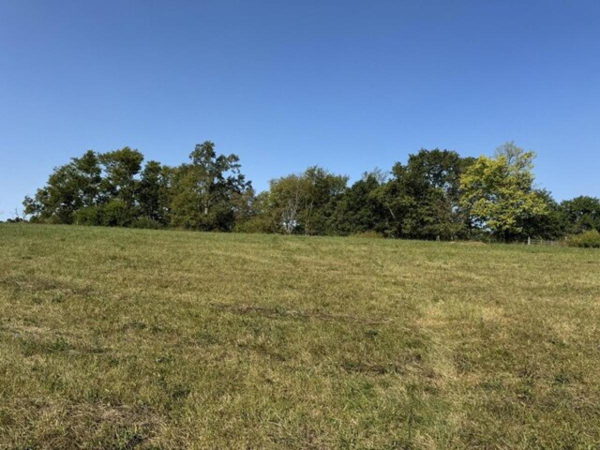 Picture of Residential Land For Sale in Shelbyville, Kentucky, United States