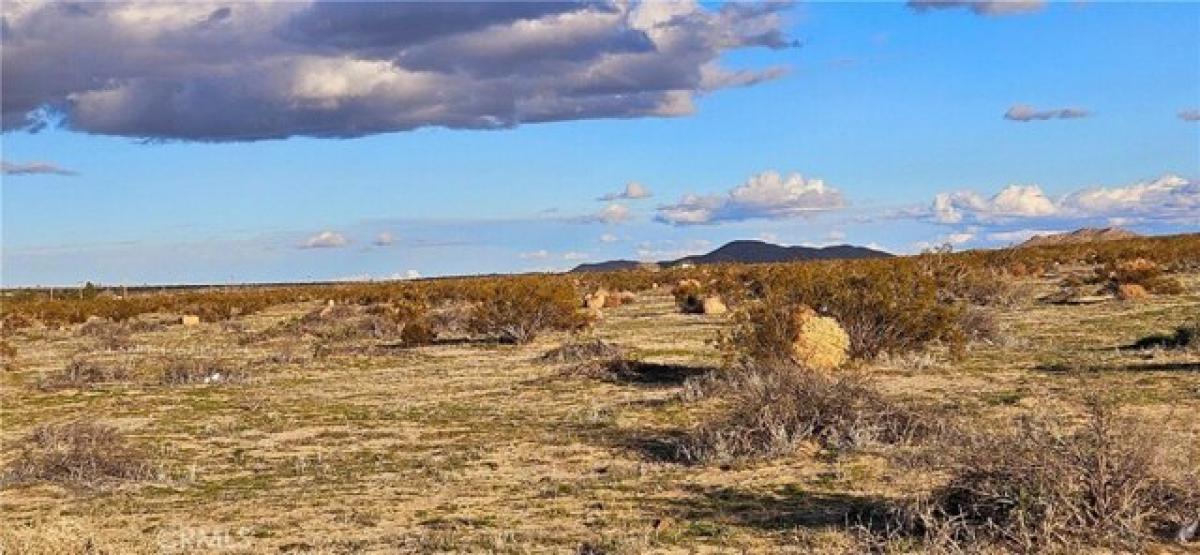 Picture of Residential Land For Sale in Palmdale, California, United States