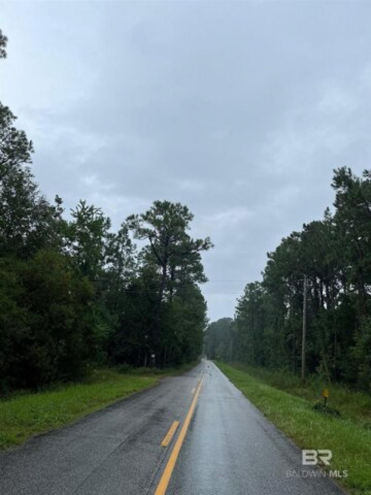 Picture of Residential Land For Sale in Foley, Alabama, United States