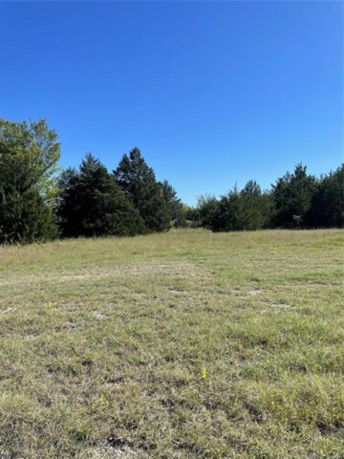 Picture of Residential Land For Rent in Burneyville, Oklahoma, United States