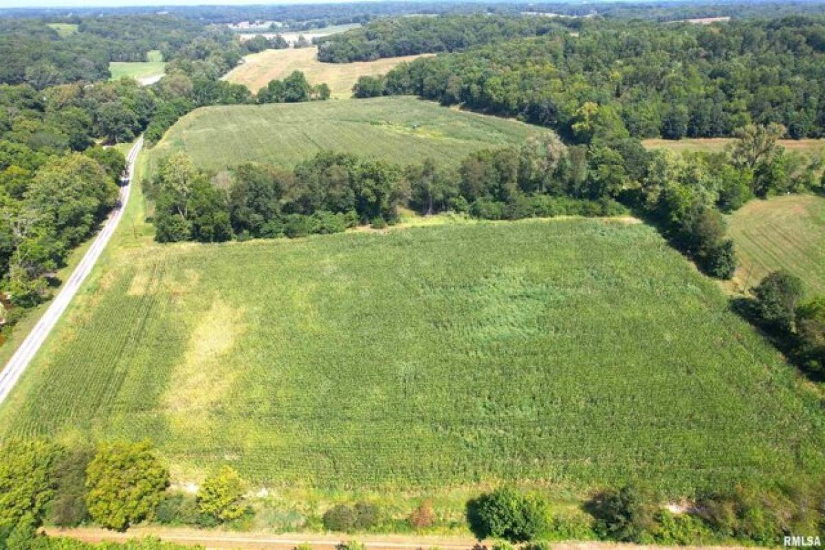 Picture of Residential Land For Sale in Nebo, Illinois, United States