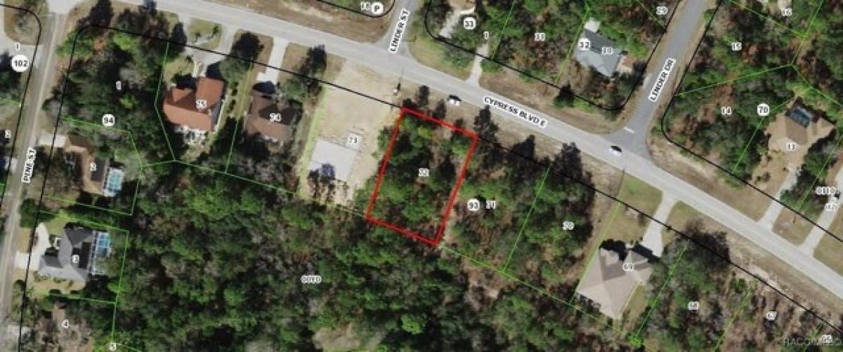 Picture of Residential Land For Sale in Homosassa, Florida, United States